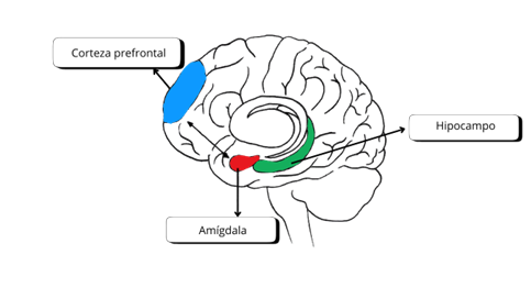 terapia EMDR | Centro Psicólogos Mataró