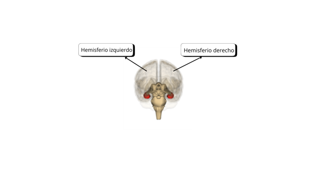 terapia EMDR | Centro Psicólogos Mataró