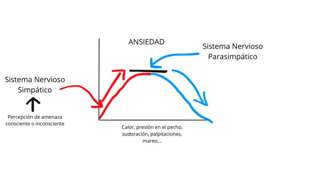 que es la crisis de ansiedad | psicólogos maresme